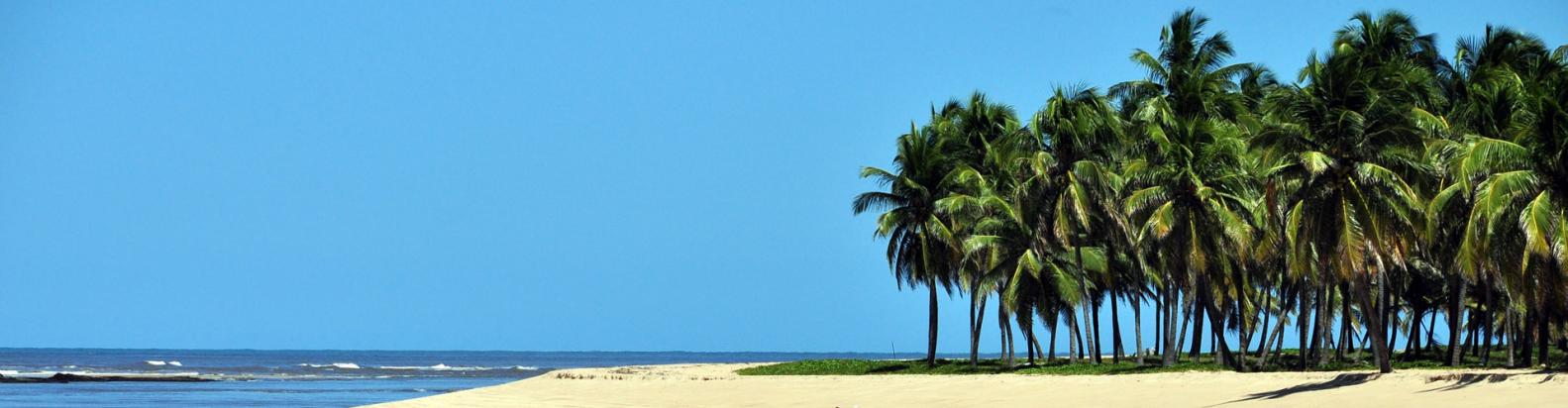 XXXIX Encontro dos Oficiais de Registro de Imóveis do Brasil